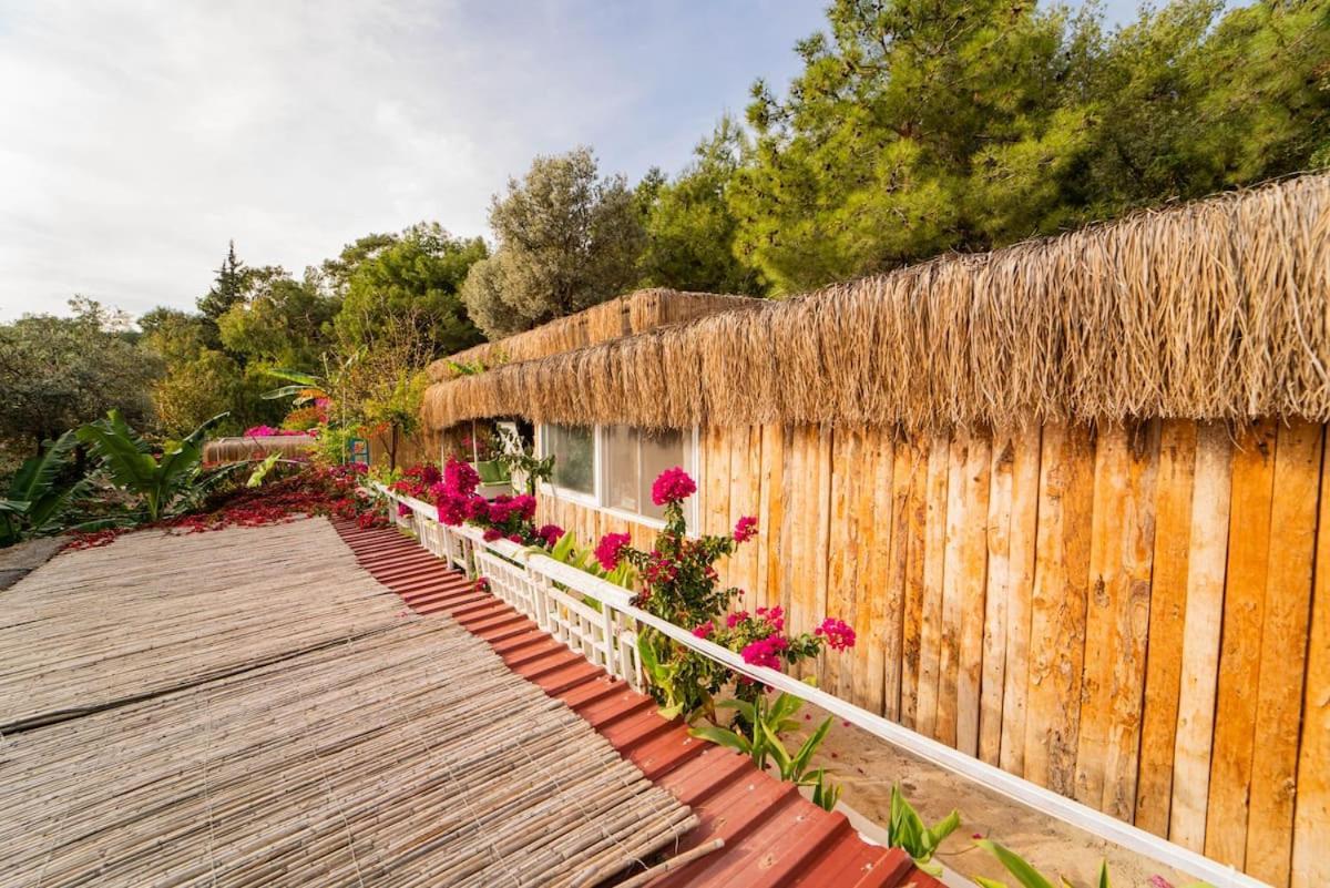 Begonvilla Bungalows Фетие Екстериор снимка